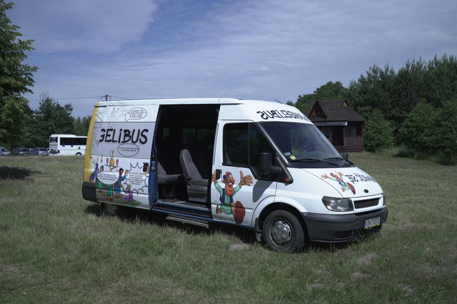 bus
